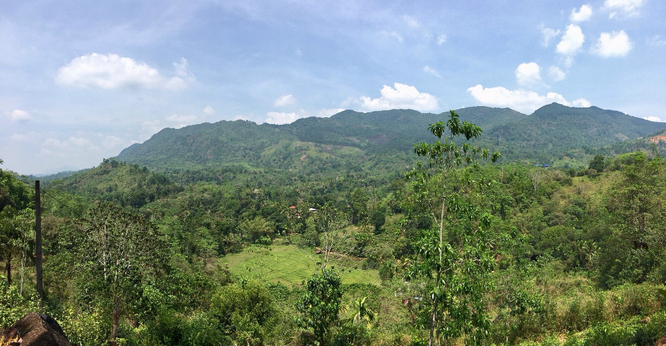 Sinharaja Forest Reserve, Sri Lanka