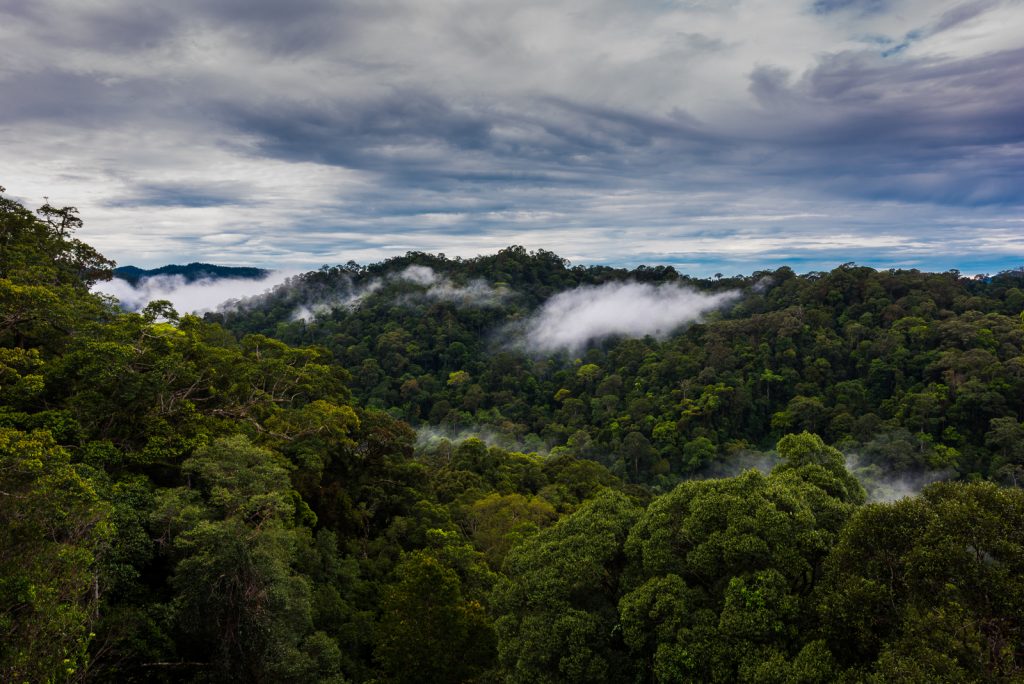 Brunei Darussalam